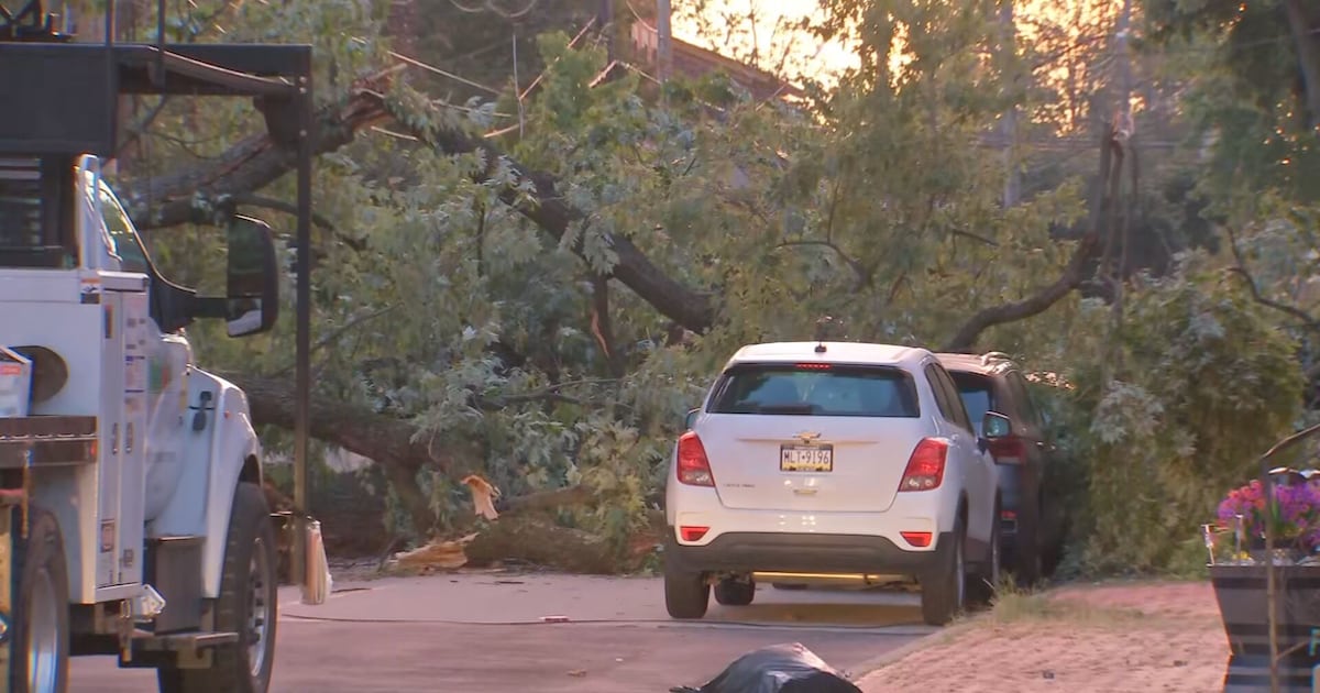Massive tree falls in Pittsburgh’s Manchester neighborhood, bringing down wires, snapping pole – WPXI