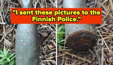 These 31 Odd Objects Had Everyone Stumped Until The Internet Helped Out