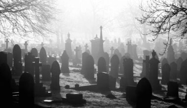 12 reasons why death might be an illusion