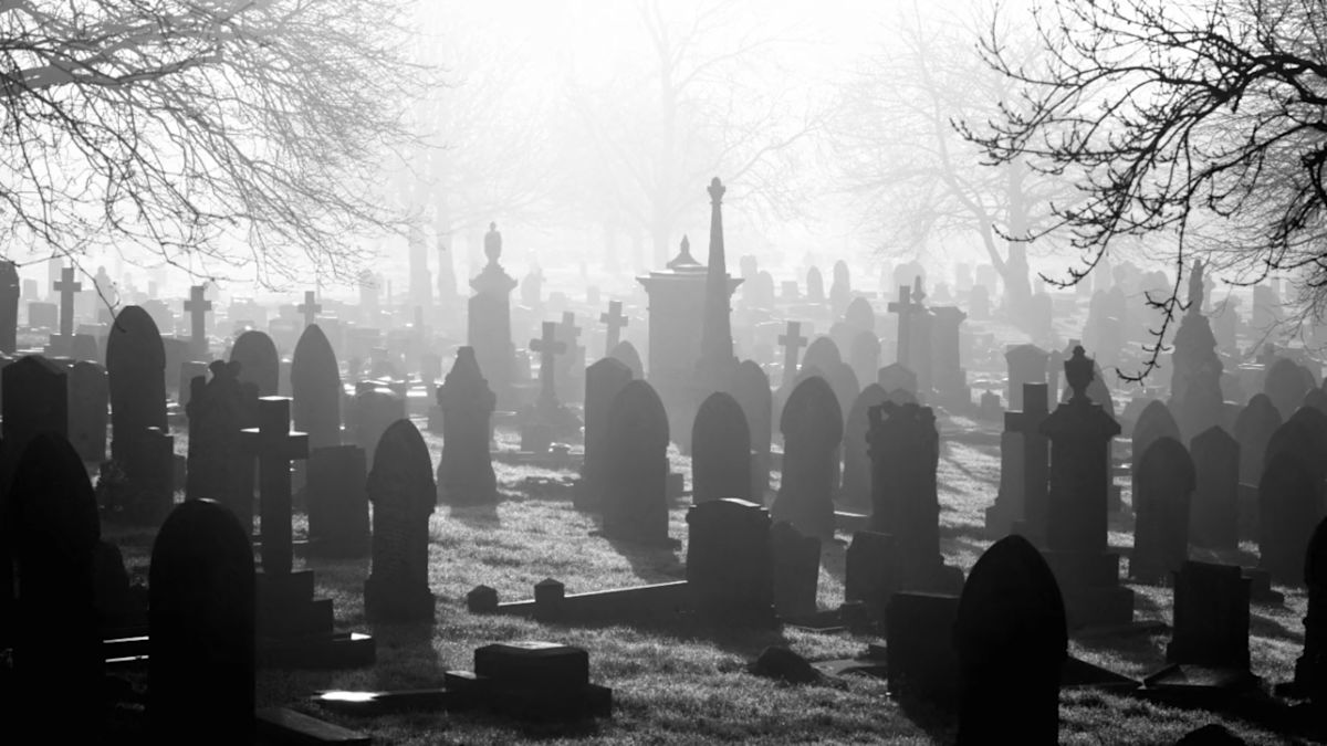 12 reasons why death might be an illusion