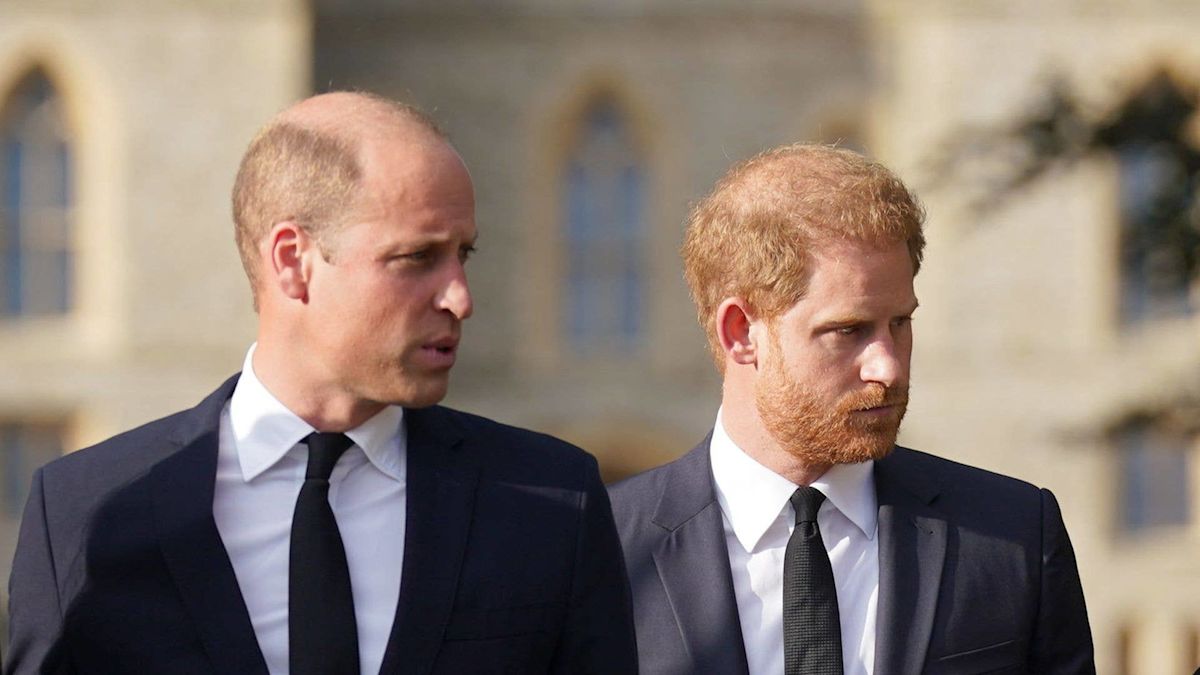 'Horrified' Prince William and Harry's 'furious' reaction to Earl Spencer's book revealed