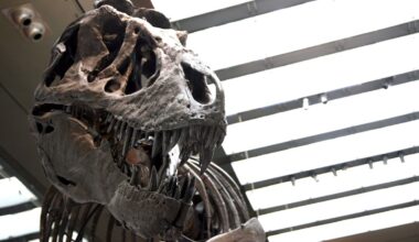 Scientists Discover T. Rex Blood Was As Hot As Human Blood, Suggesting They Were Fast-Running Predators