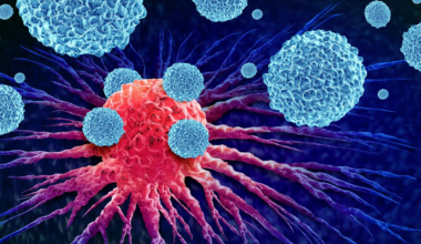 Cancer cases are set to surge by 2050—nearly half may be preventable