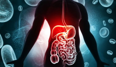 Common food additive may make you absorb more fat