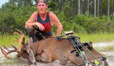 ‘A Buck Like This One Is Special.’ Bowhunter’s 17-Point Florida Deer Is Actually a Giant