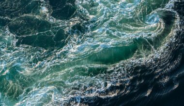 The Ocean Current That Feeds the World Is Collapsing. The Results Could Be Catastrophic.