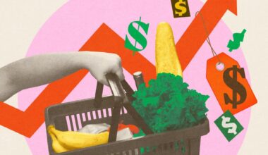 ‘I pay a lot more for fewer and fewer items’: five US shoppers on their food budgets