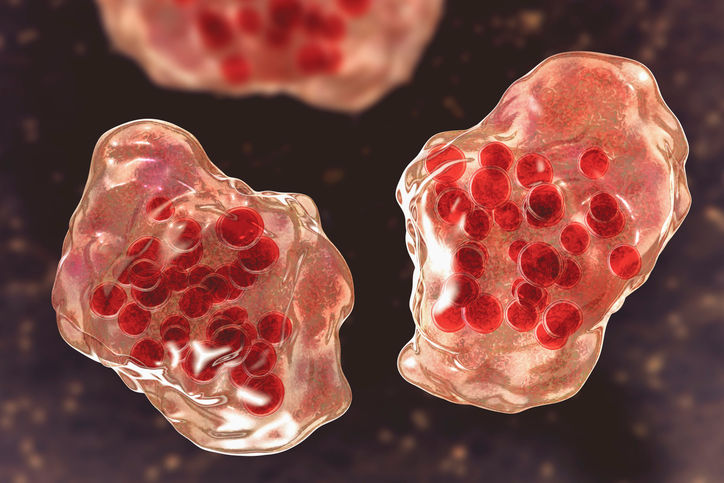 Wisconsin measles outbreak spreads exponentially as cases soar past 100