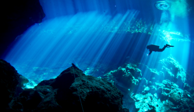 One hydrophone sitting 891 meters down in Monterey Canyon, wired to shore by 52 kilometers of cable, recorded 2,111 days out of 2,192 between July 2015 and June 2021, and humpback song climbed from 34 percent of days to 76 while blue whale song fell away after a marine heat wave.