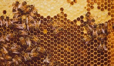 Does looking at a sponge or honeycomb make you uncomfortable? There’s a name for that