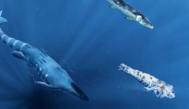 Fossil of Giant Squid-Like Creature from Cretaceous Period Bears Marks of Deadly Attack