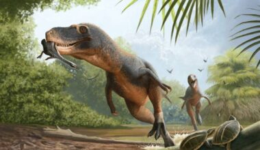 Exceptionally Preserved Bird Feathers Found in 66-Million-Year-Old Dinosaur Coprolite