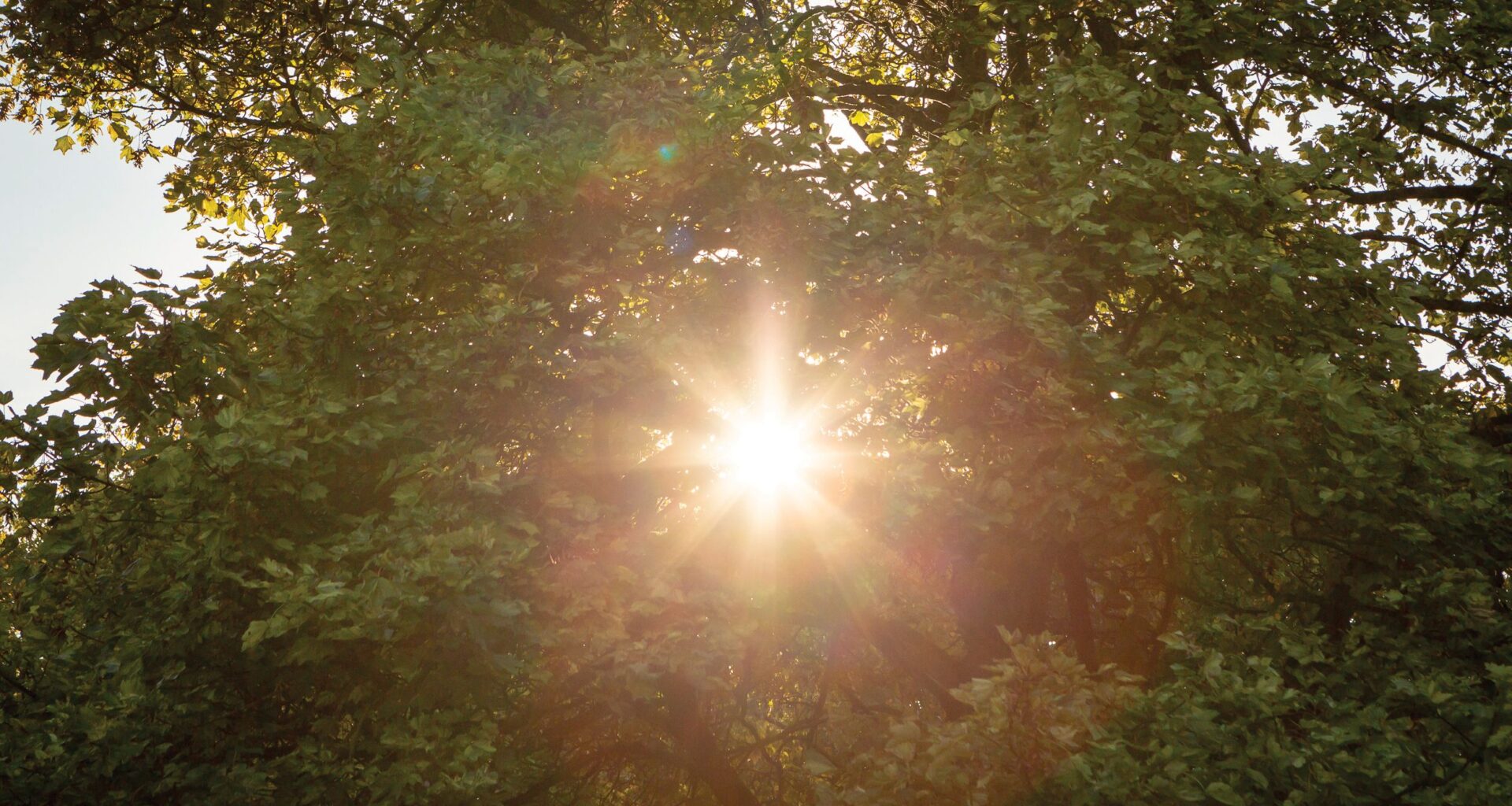 Photographer says sun photo “destroyed” his camera’s sensor. Here’s why you may need to heed the warnings