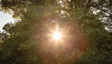 Photographer says sun photo “destroyed” his camera’s sensor. Here’s why you may need to heed the warnings