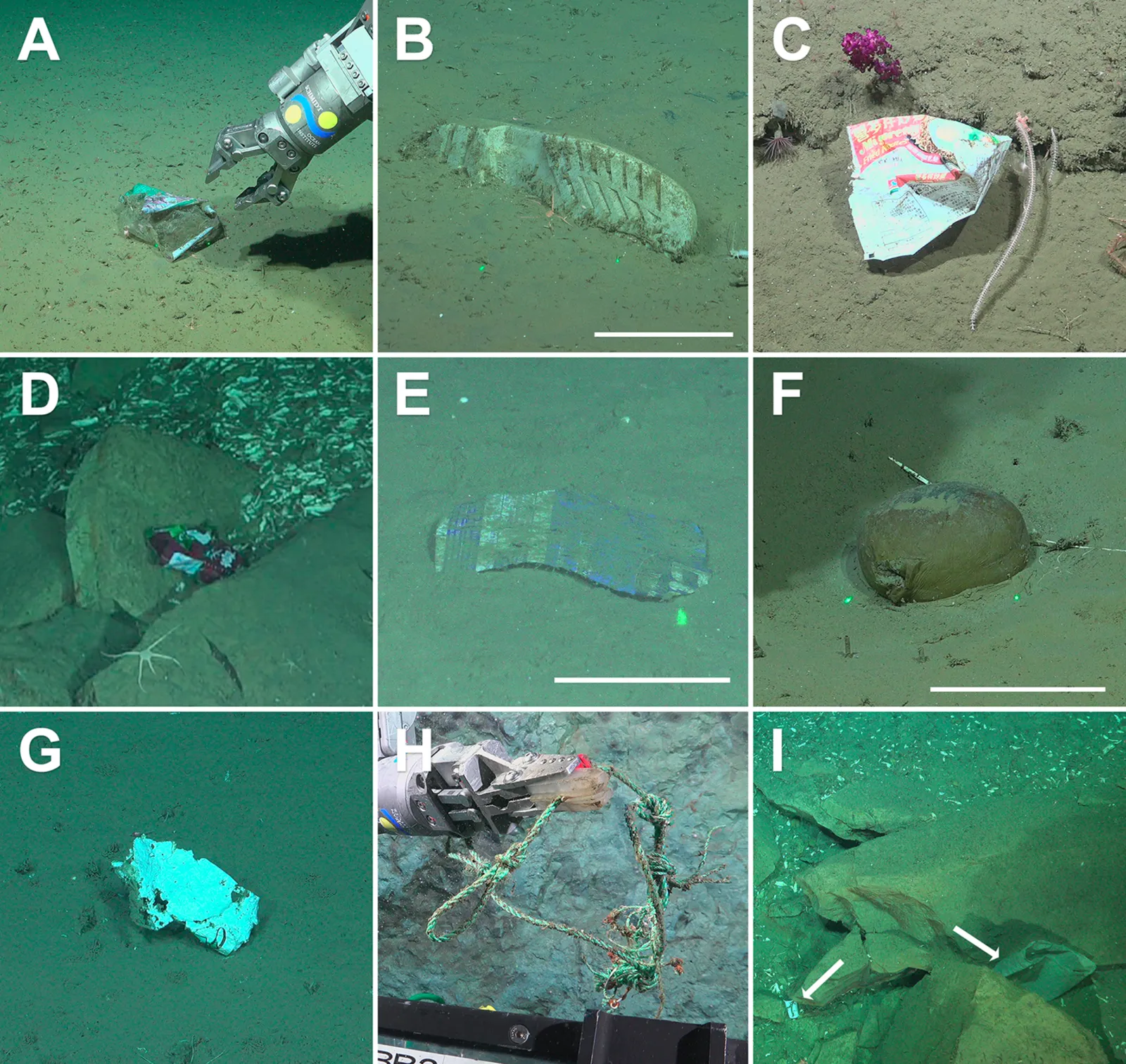 Examples of deep-sea litter found in the Mar del Plata Submarine Canyon.