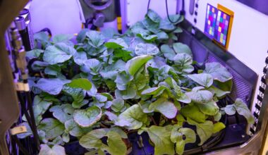New Crops, Health Research Proposals to Help NASA Advance Exploration