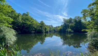 Between St. Louis And Shawnee National Forest Is Illinois' Largest State-Run Nature Area With Fishing And Camping