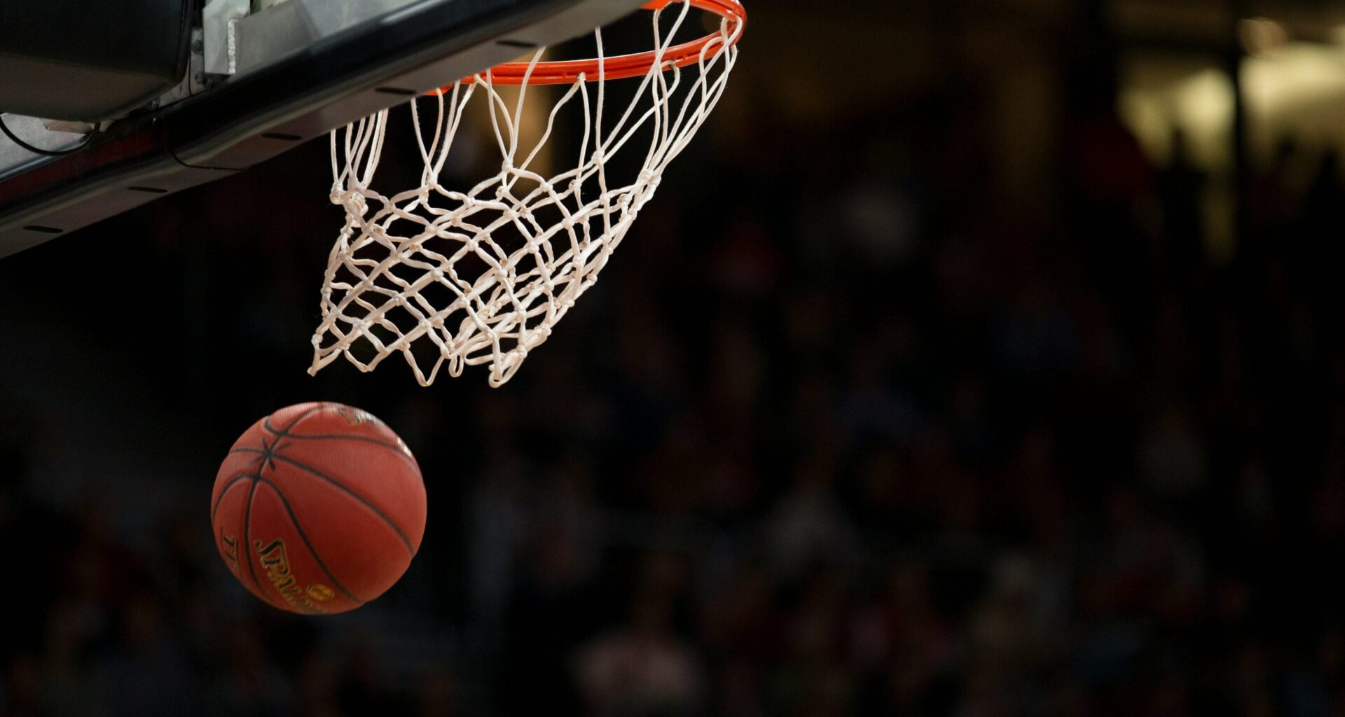WNBA Fan Study Reveals the League’s Biggest Trash Talkers 
