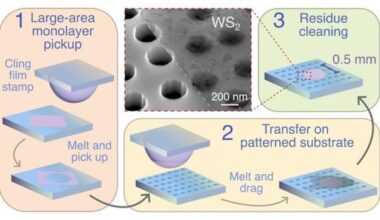 Cling film helps stamp two-dimensional materials onto patterned surfaces – Physics World