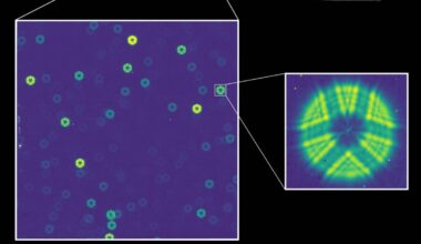 NASA’s New $4 Billion Space Telescope Just Saw Starlight for the First Time. Here’s What It Saw