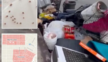 LA typhus outbreaks hospitalize 6 as flea-borne infection resurfaces