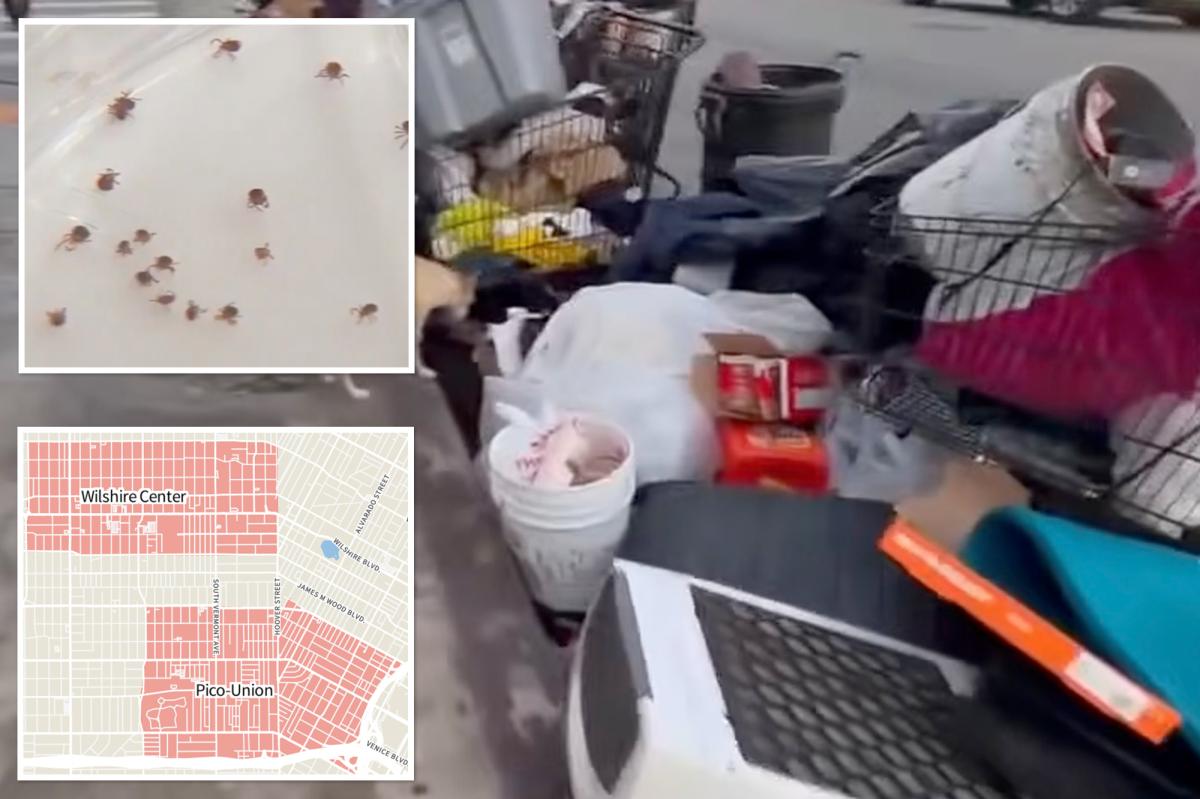 LA typhus outbreaks hospitalize 6 as flea-borne infection resurfaces