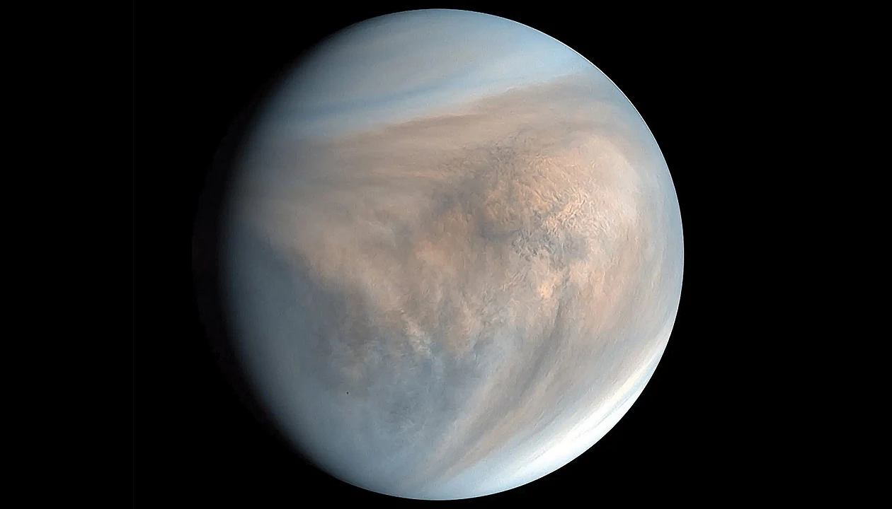 Peptides may persist in Venusian clouds