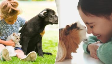 Pets improve kids’ mental health — except one, which makes things worse