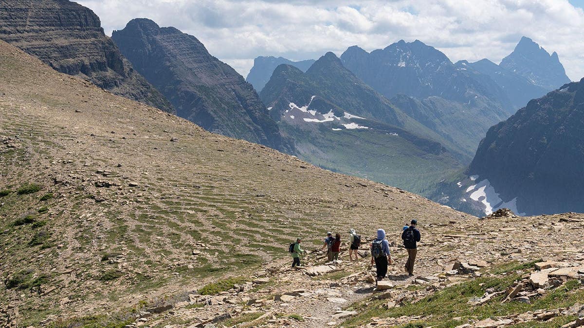 Periglacial patterned ground with stone stripes visible in Glacier National Park, Montana.