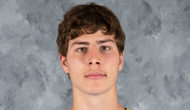 Jecho of Blues to enter NHL/NHLPA Player Assistance Program