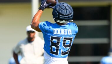 Chiefs sign international tight end, release 3 from IR