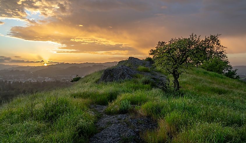 Rolling hills and rocky summit of Mount Diablo State Park in California.