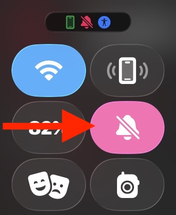 Use Silent Mode to stop noise from Apple Watch