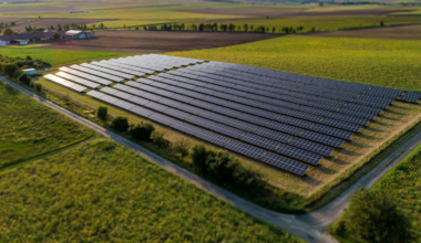 Ecologists walked matching 200-meter transects across solar farms planted for wildlife in England’s East Anglian Fens and counted 35 birds on each solar pass against 12 on the cropland beside it, corn buntings and yellowhammers among the birds now working the rows between the panels