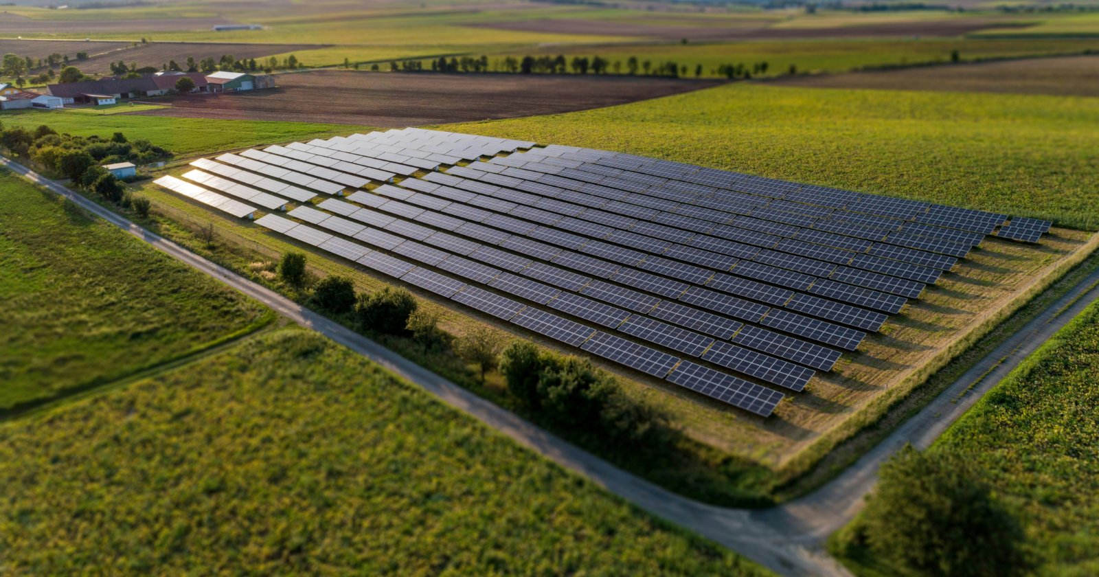 Ecologists walked matching 200-meter transects across solar farms planted for wildlife in England’s East Anglian Fens and counted 35 birds on each solar pass against 12 on the cropland beside it, corn buntings and yellowhammers among the birds now working the rows between the panels