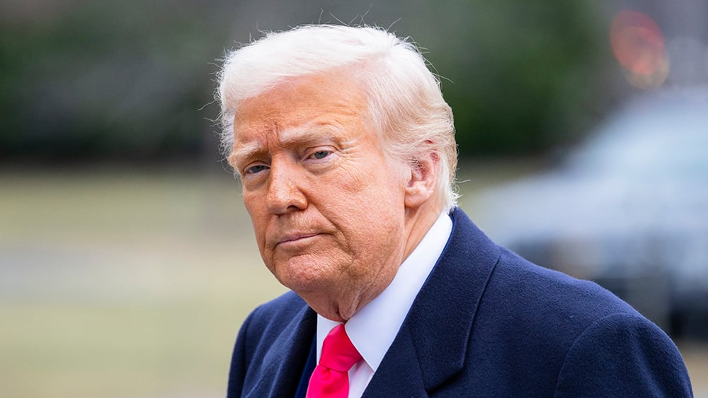 Dow Jones Futures: Trump Sparks Stock Market Losses; Elon Musk-Led SpaceX, Tesla Sell Off| Investor's Business Daily