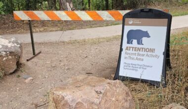 Bear activity shuts down Tucker Gulch Trail in Jefferson County