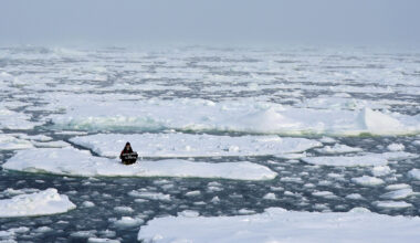 Activists Push to Give Arctic Sea Ice Legal Rights