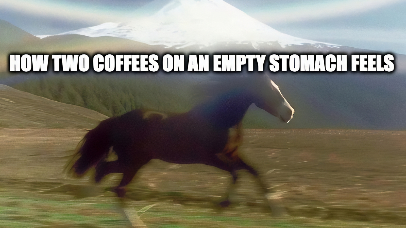 meme about two coffees on an empty stomach