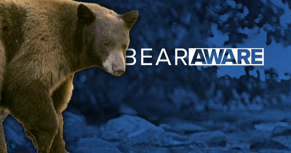 Columbia Falls adopts emergency ordinance due to increased bear activity