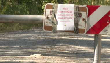 Montana wildlife officials urge caution after Columbia Falls bear attack
