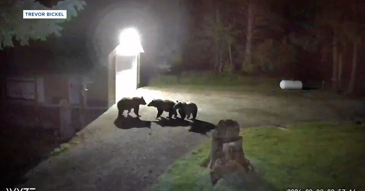 Lincoln residents keep close eye on grizzly activity around town
