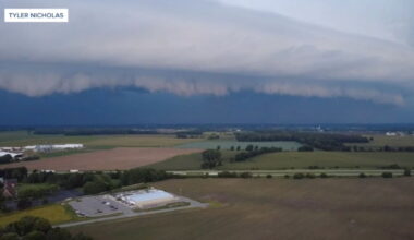 Tornado warnings leave trail of damage and destruction across WNY