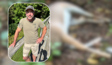 Hunters fear EHD will decimate Washington County deer herd