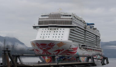 Endangered fin whale discovered dead on cruise ship bow in Sitka