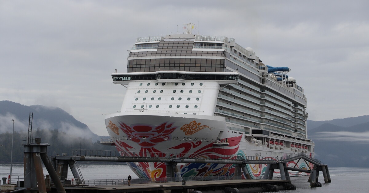 Endangered fin whale discovered dead on cruise ship bow in Sitka