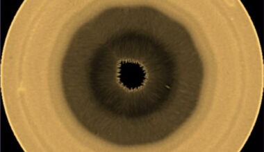 Scientists find a churning decagon over Saturn's south pole