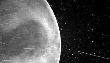 Venus May Have Devoured Its Moon