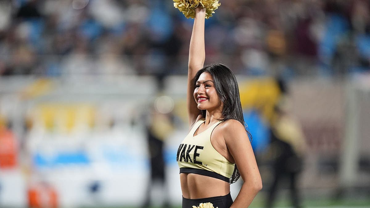 Wake Forest Demon Deacons cheerleader stands during the first quarter at Bank of America Stadium.