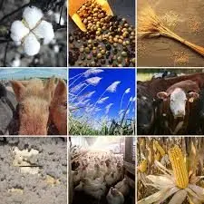 wasde-commodities-jpg-32